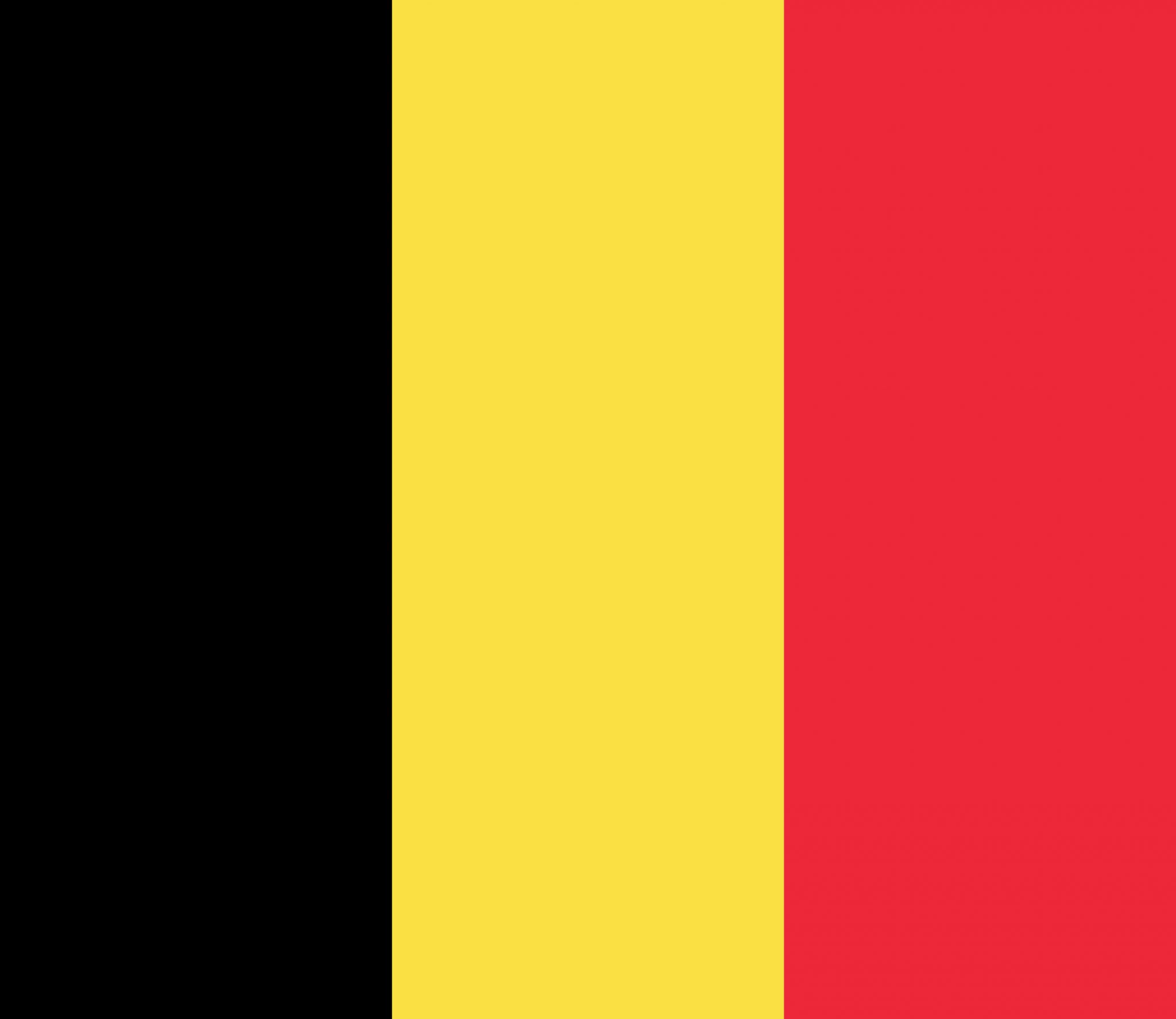 Belgian Flag - Server in Belgium