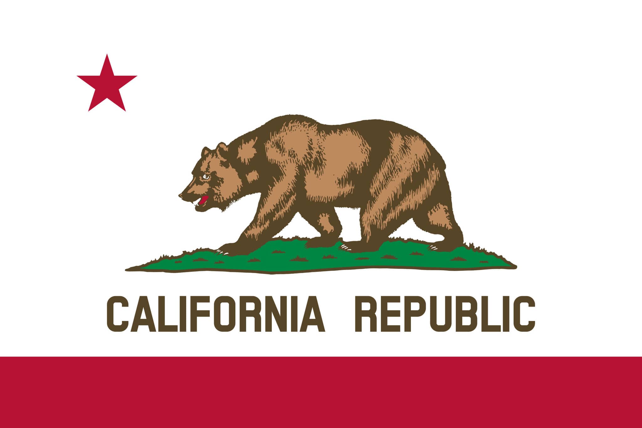 California Flag - Server in California, USA