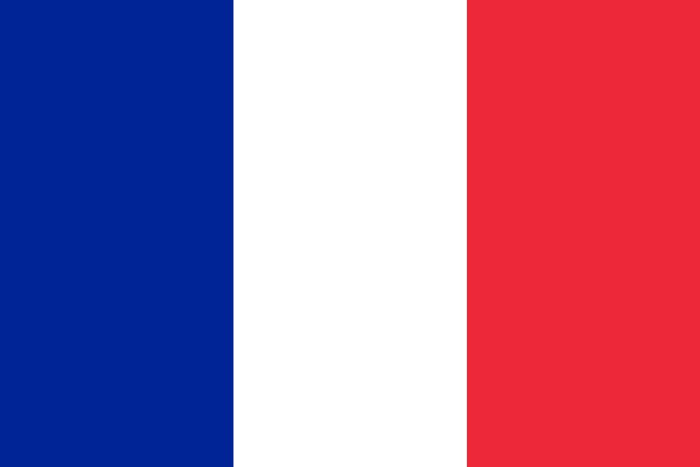 French Flag - Dedicated Server in France