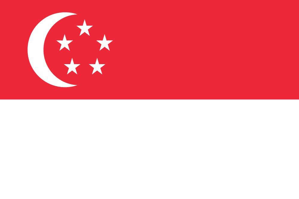 Singaporean Flag - Server in Singapore