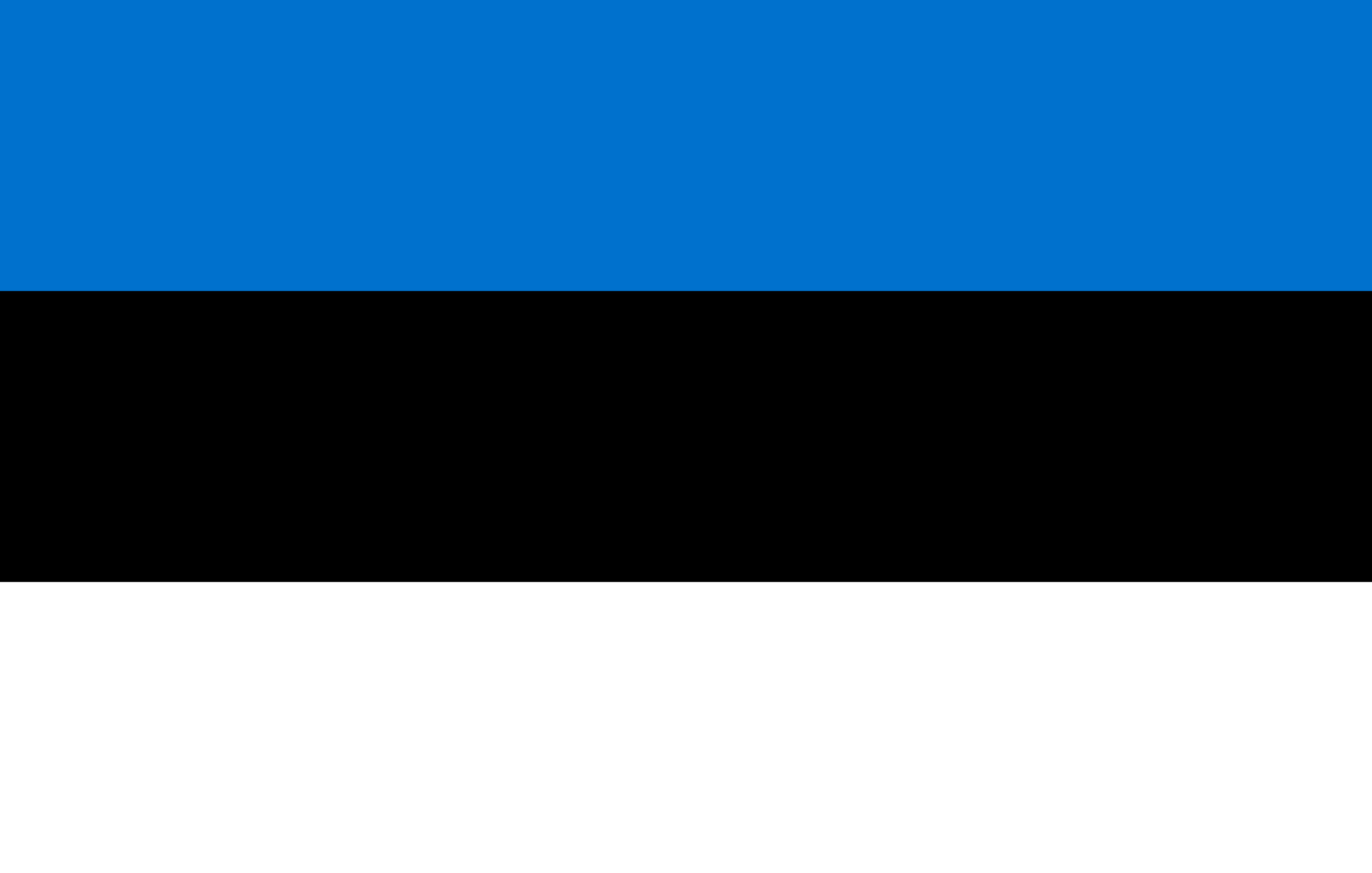 Estonian Flag - Dedicated Server in Tallinn