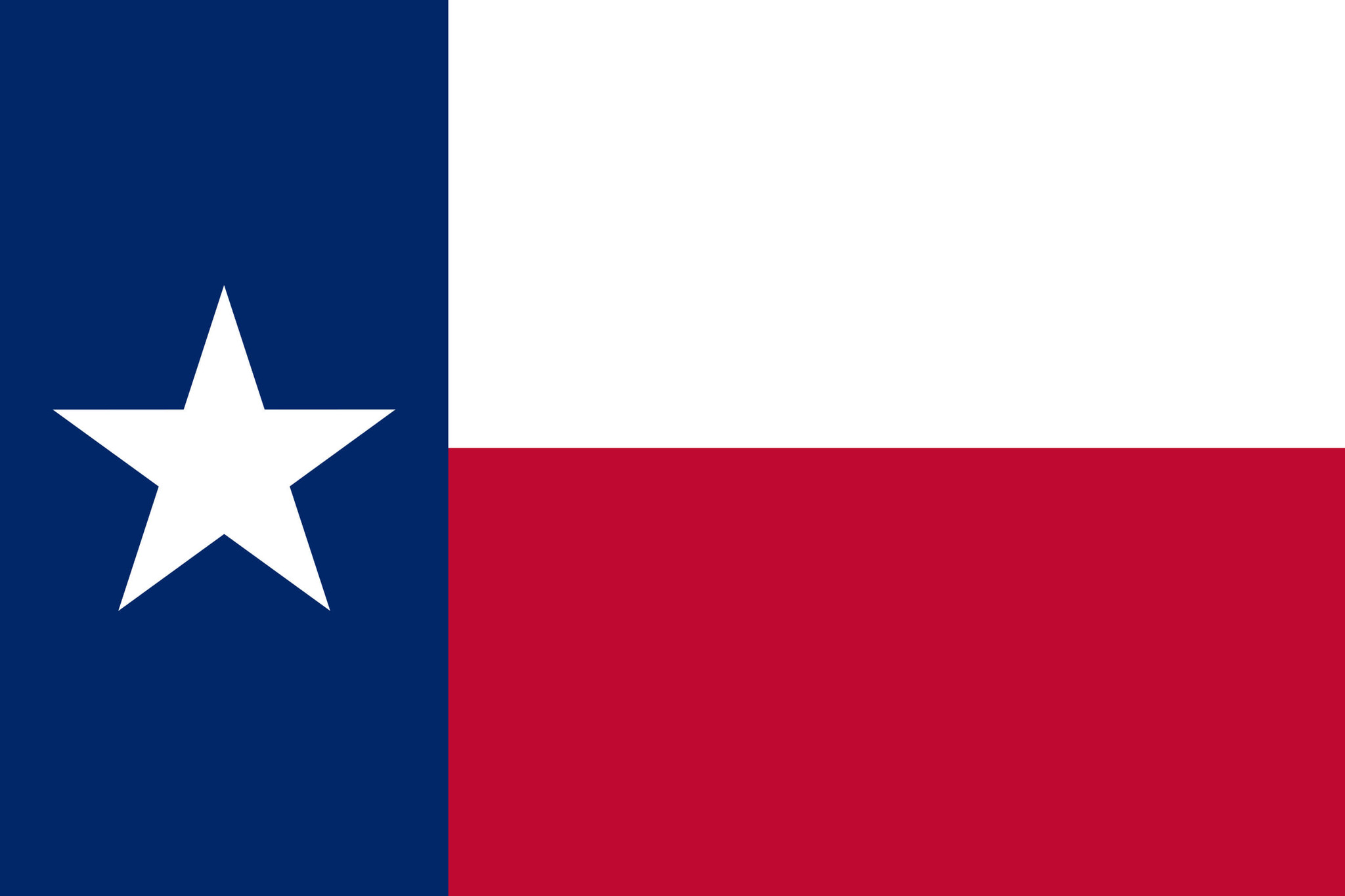 Texas Flag - Server in Texas, USA