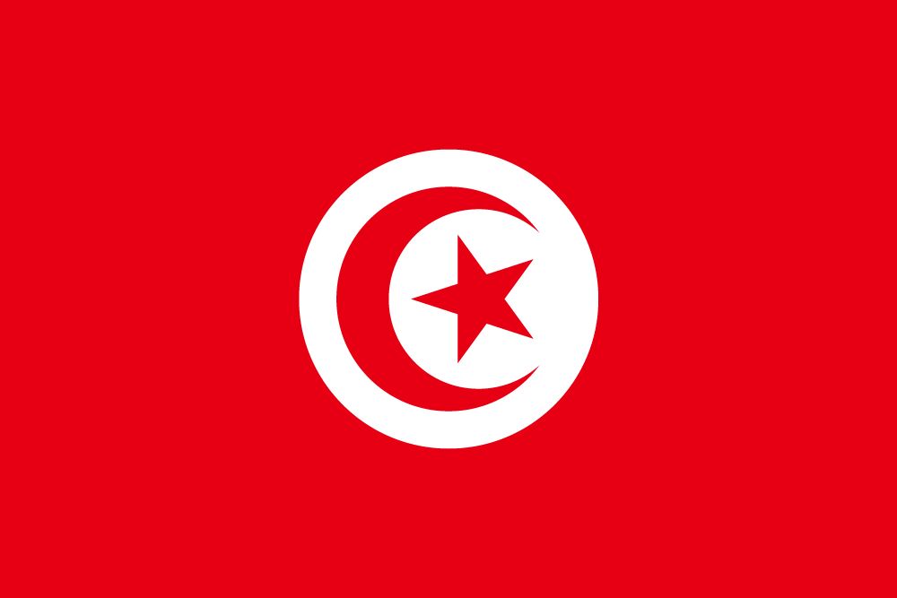 Tunisian Flag - Dedicated Server in Tunisia