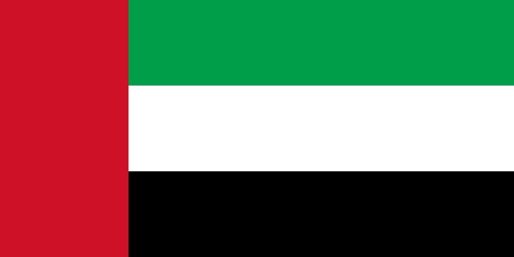 UAE Flag - Server in the UAE