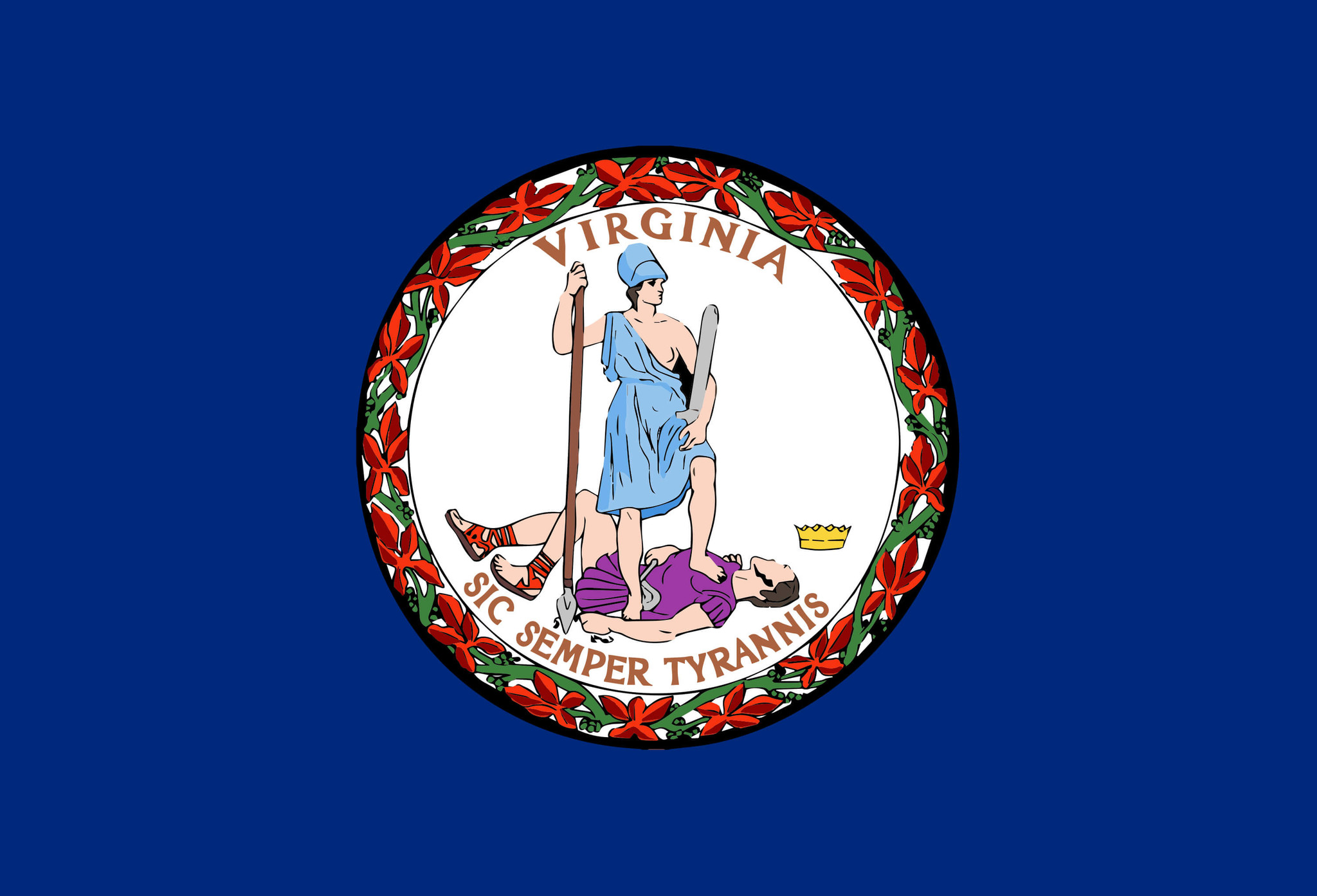 Virginia Flag - Server in Virginia, USA